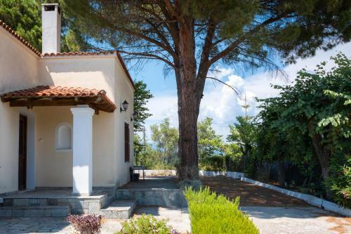 Villa Corfu Pine House