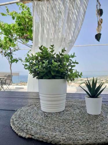 The Serene Veranda With Breathtaking Views