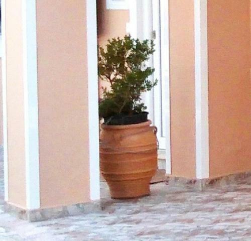 Albi Apartment - New Port - Corfu Town