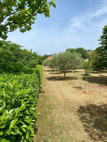 Valica Gardens