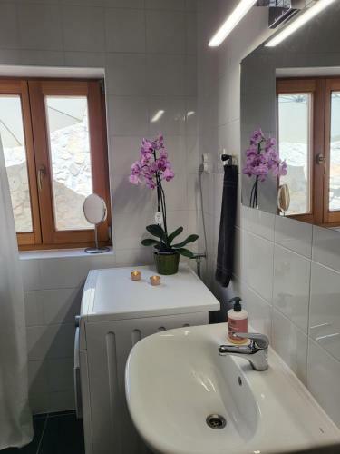 Townhouse Bycolovic