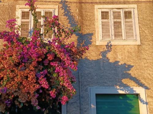 Apartamento Bertie's Lodge