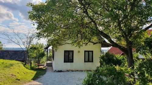 Holiday Home In Tamasi - S�dtransdanubien 42699