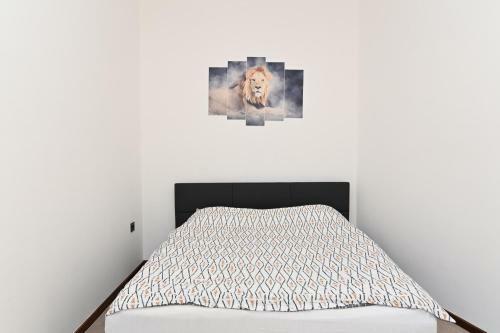 Tyson Apartman Rijeka