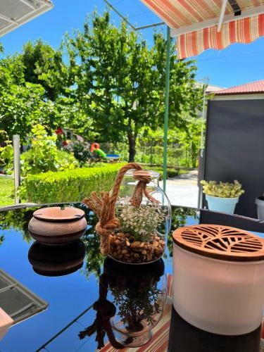 Studio Apartment Corina