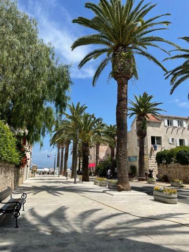 Apartment Near Beach Bistrica
