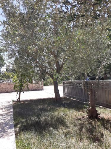 Apartamento Kruskovac2