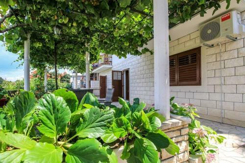 Apartments Ivana - 100m From Beach