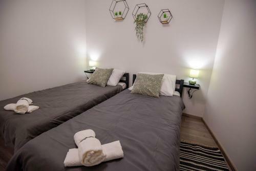 Apartment Belvedere
