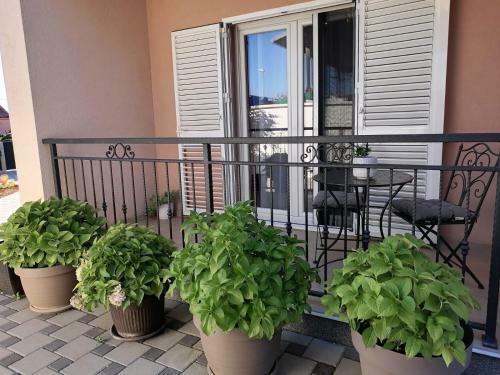 Apartamento Ena