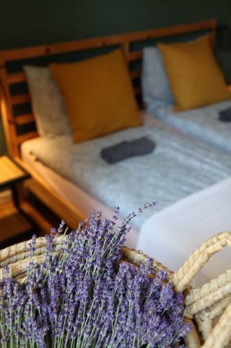 Apartamento Bem6 Romhostel: Teljes Lak�s Saj�t Terasszal