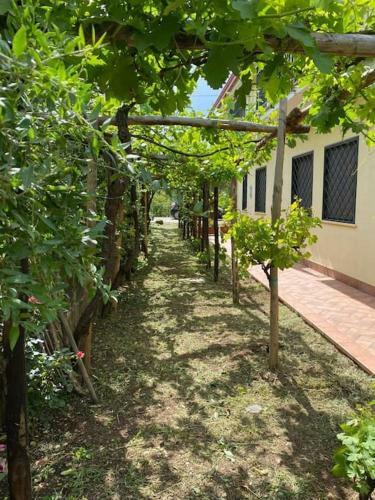Apartamento Villa Aura