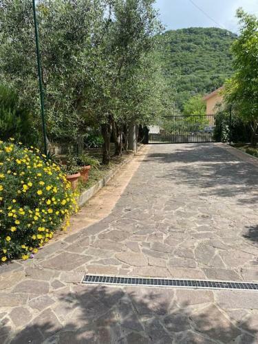 Apartamento Villa Aura
