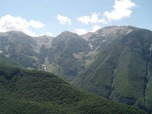 Hostal Amoroso's House, Affittacamere