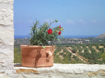 Hotel Dalabelos Estate