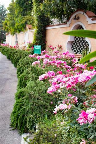Hotel Mediterraneo