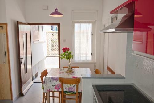 Apartments Vili