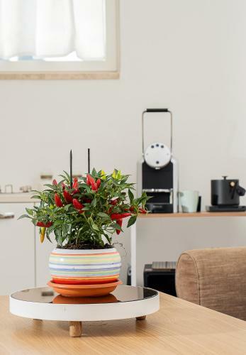 Apartamento A Casarella