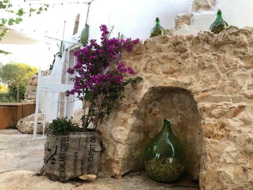 Apartamento Il Trullo Di Colacurto