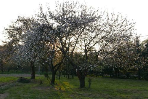 Apartamento R�?e I Jab?onie Agroturystyka