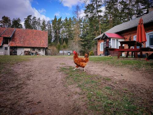 Le?nicz�wka W ?rodku Mazur