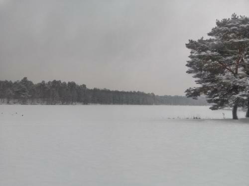 Domek Nad Zalewem