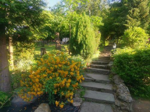 Villa Jaworowy Stok