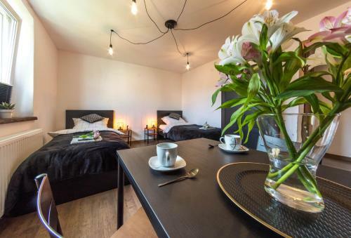 Apartament Wita Stwosza