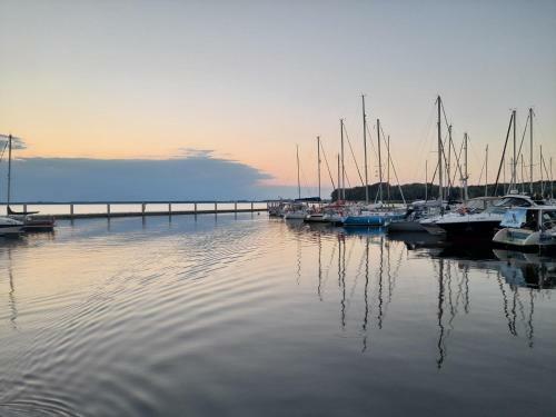 Bruno Boat - ?�d? Mieszkalna