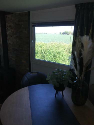 Glamping Aan De Thoolse Kust