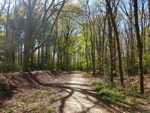 Chalet Drenthe Spier Op Camping de Moraine