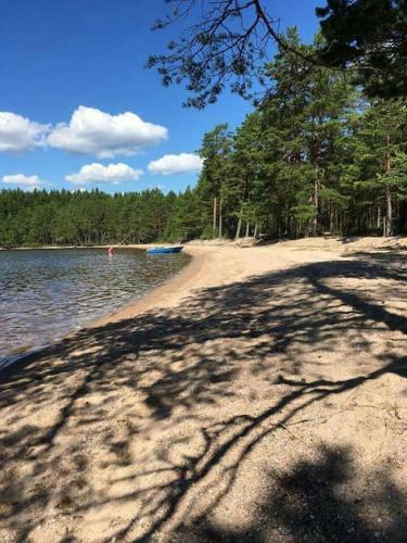 Sandbacken Cottage In The Forest