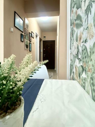 Apart.boutique B. Mangalia