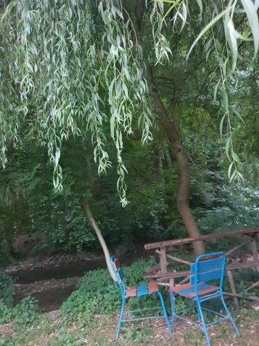 Camping Moneasa