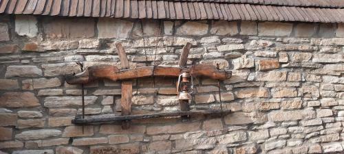 Acul �n Carul Cu Fan