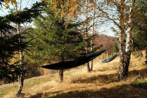 Blidarei - Transilvanian Haven