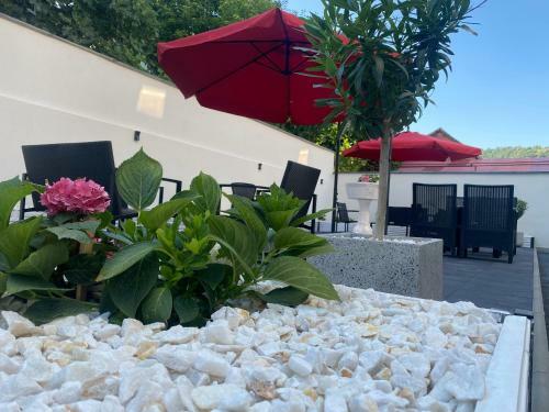 Hostal Pensiunea Ionelia