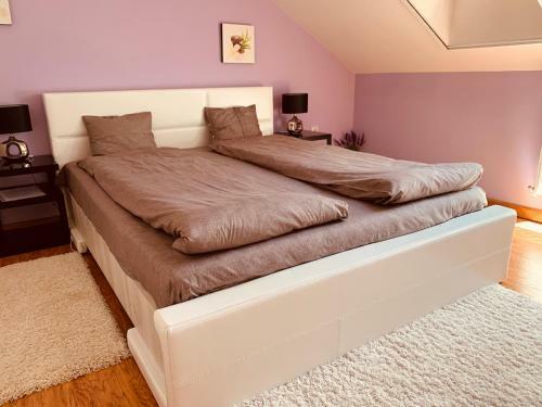 Ginger Apartmant