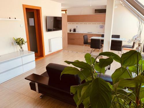 Ginger Apartmant