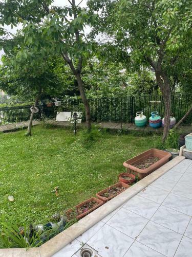 Villa Magnolia