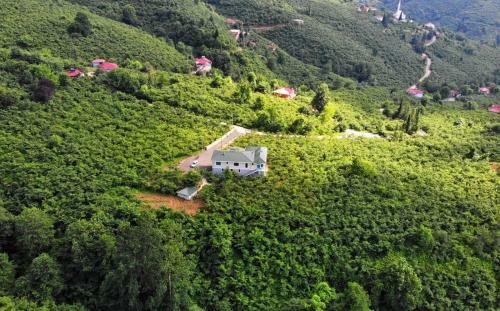 Luxury Nature Life Villa
