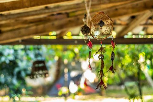 Hotel Navio Hostel & Camping