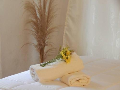 Aparta Suite Bellas Artes Four