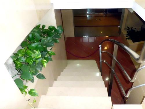 Hotel Vila Do Alba