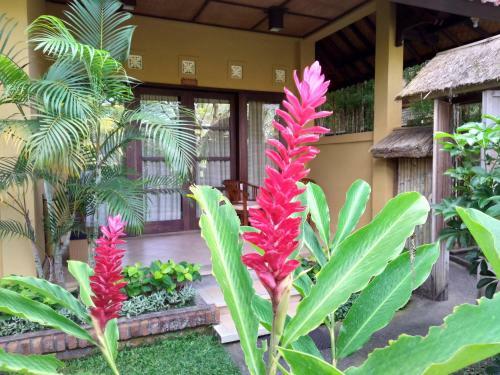 Bed & Breakfast Ubud Lestari Bungalows