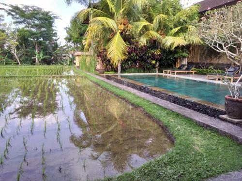 Bed & Breakfast Ubud Lestari Bungalows