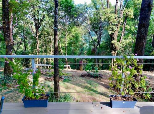 Bungalow En El Bosque