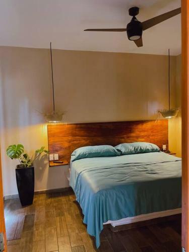 Apartamento Casa Arecas; Experiencia Completa Playa Troncones