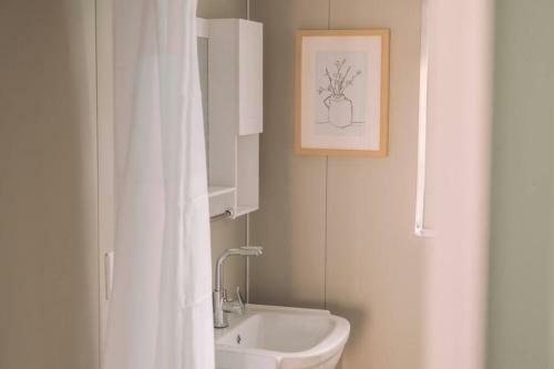 Tiny Home In Working Equestrian Property - P3