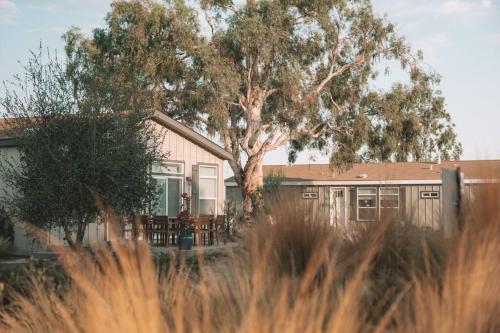 Beautiful Ranch House On Equestrian Property - R4